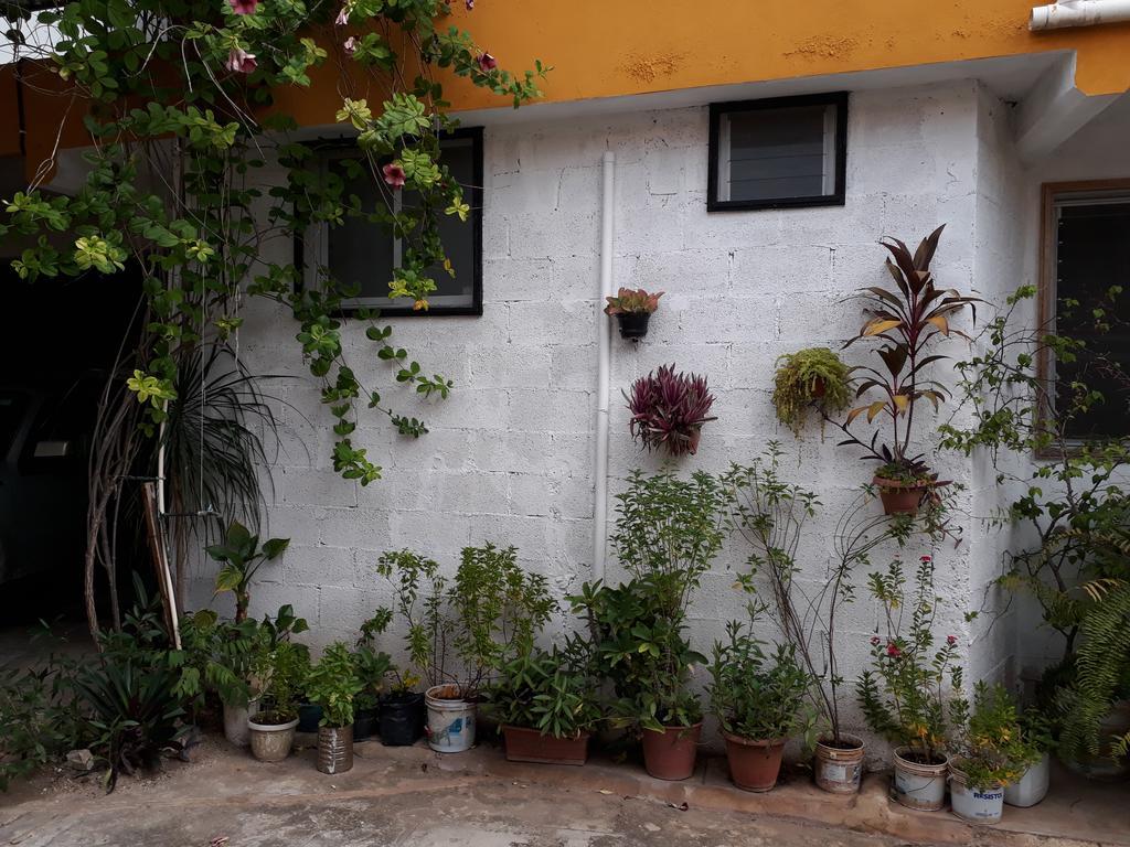 Casa Azul Apartment Valladolid  Exterior photo